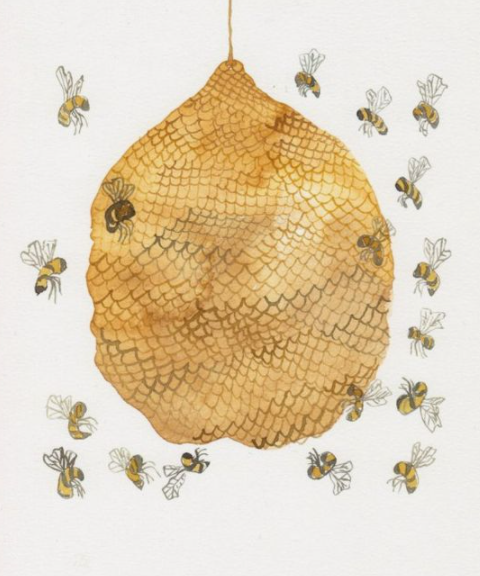 ecoutez créez grignotez des histoires d'abeilles