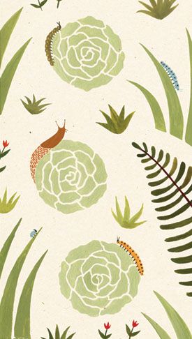 ça en fait des histoires dans mon jardin