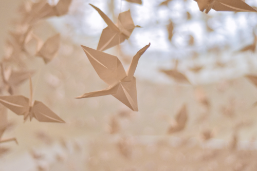 Origami' récup