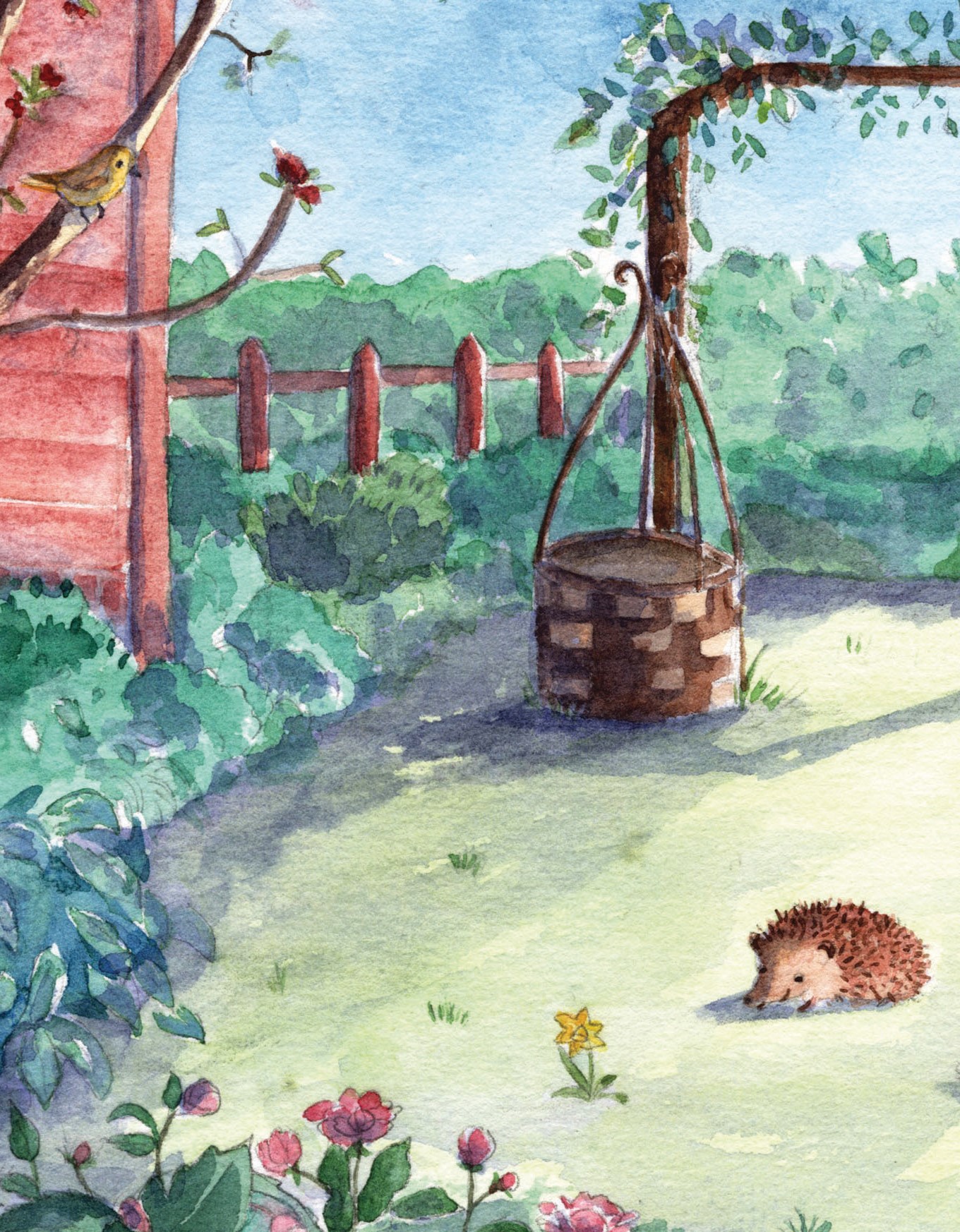 aquarelle 