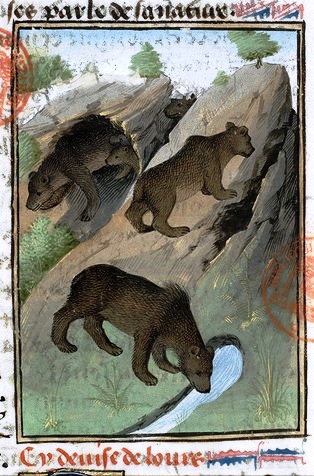 ours