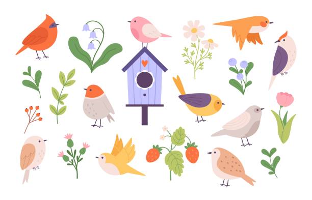 ça en fait des histoires...d'oiseaux